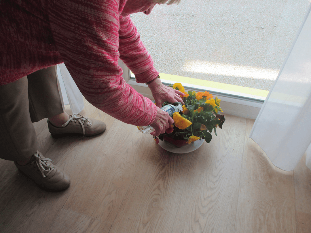 Personne agée arrosant des fleurs